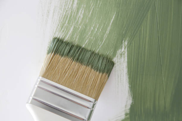 Best Emergency Mold Remediation  in Travilah, MD