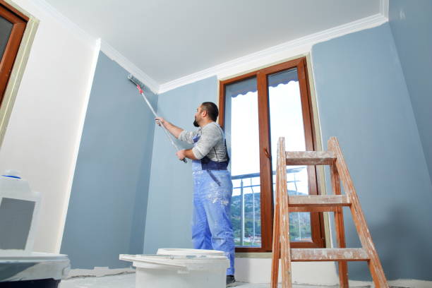 Professional Mold Removal in Travilah, MD
