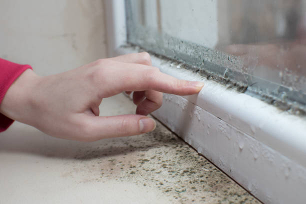 Best Commercial Mold Inspection  in Travilah, MD